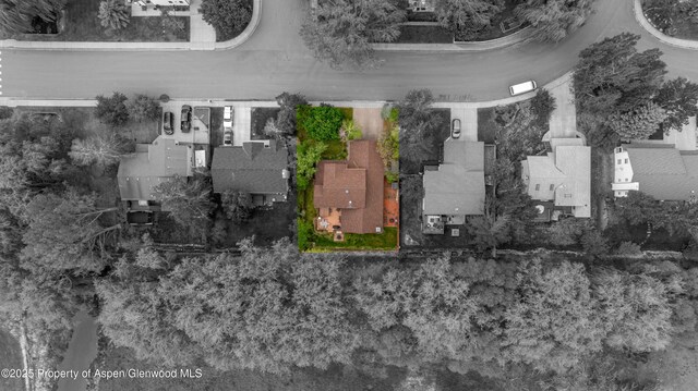 170 Deer Run, Carbondale, CO 81623 - aerial view of property's location with property parcel outlined