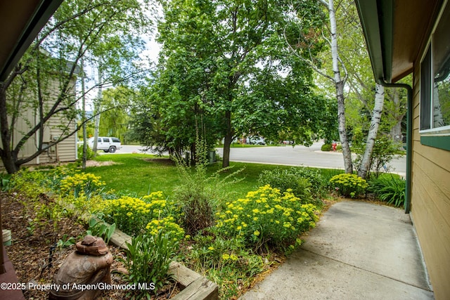 170 Deer Run, Carbondale, CO 81623 - view of yard