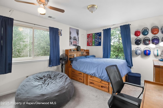 170 Deer Run, Carbondale, CO 81623 - bedroom featuring carpet floors, baseboards, and ceiling fan