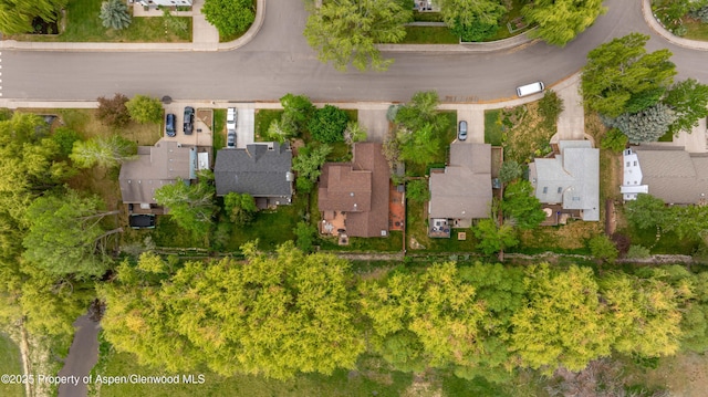 170 Deer Run, Carbondale, CO 81623 - aerial view of residential area
