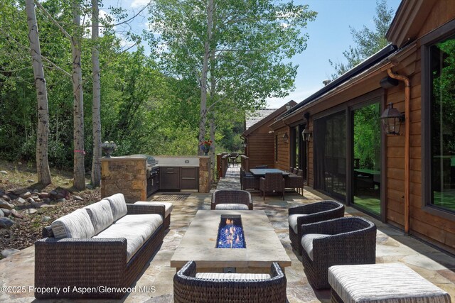 2322 Lazy O Rd, Snowmass, CO 81654 - photo 39