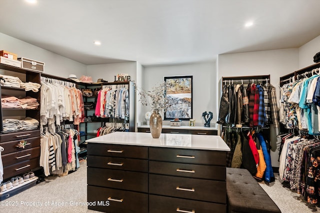 spacious closet featuring light carpet