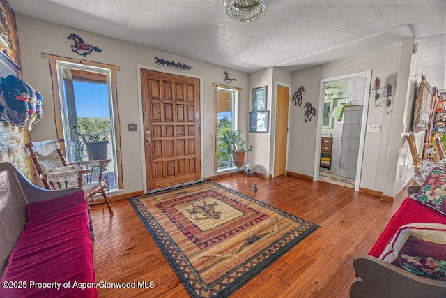 550 County Road 22, Craig, CO 81625 - foyer entrance featuring wood finished floors and a textured ceiling
