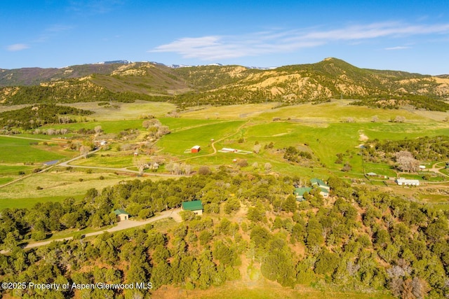 4440 County Road 342, Silt, CO 81652 - photo 62