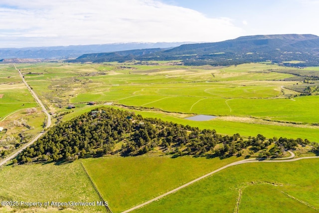 drone / aerial view with a rural view and a mountain view