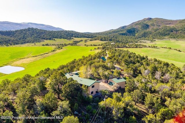 4440 County Road 342, Silt, CO 81652 - photo 61