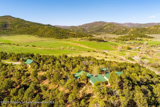4440 County Road 342, Silt, CO 81652 - photo 60