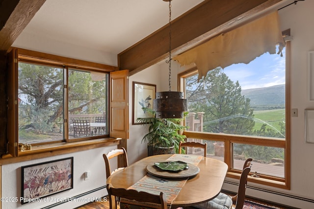 4440 County Road 342, Silt, CO 81652 - photo 14