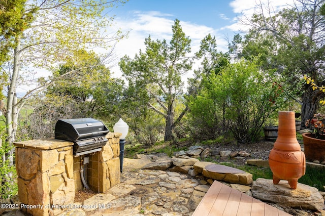 4440 County Road 342, Silt, CO 81652 - photo 36
