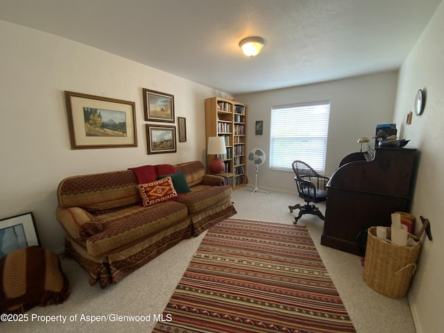 758 Pine Ct, New Castle, CO 81647 - home office featuring carpet