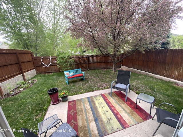 758 Pine Ct, New Castle, CO 81647 - view of yard with a patio area and a fenced backyard