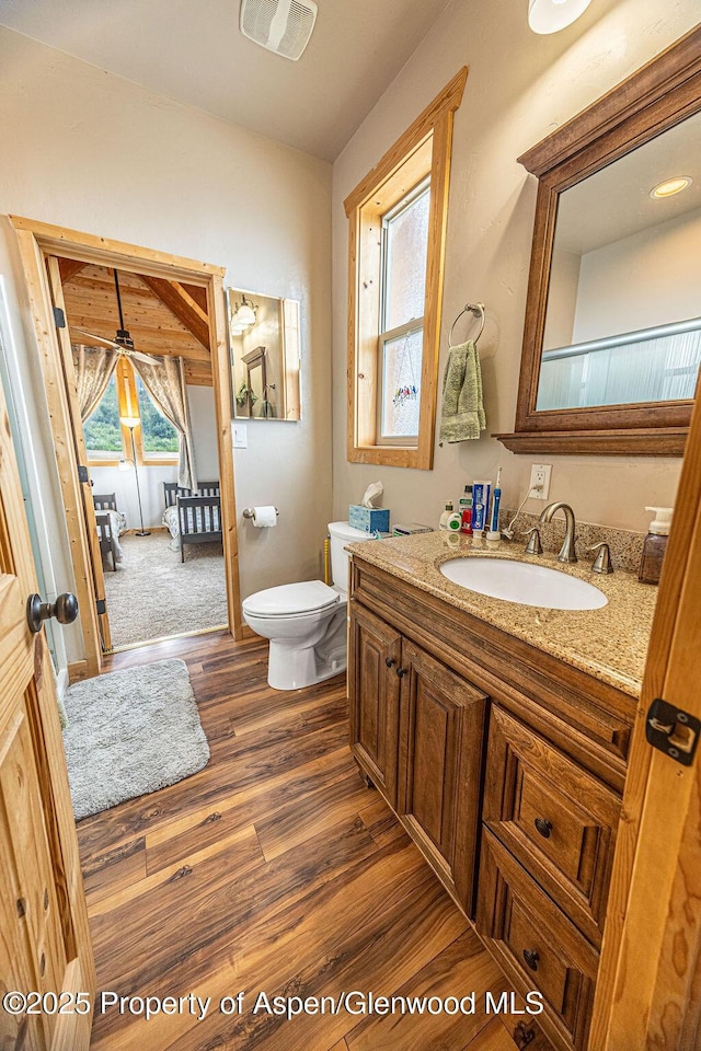 1349 Eagle Loop, Craig, CO 81625 - bathroom with wood finished floors, vanity, and toilet