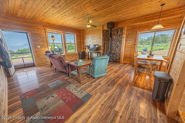 1349 Eagle Loop, Craig, CO 81625 - living room with a wood stove, hardwood / wood-style flooring, wooden walls, and wood ceiling