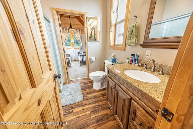 1349 Eagle Loop, Craig, CO 81625 - bathroom featuring wood finished floors, vanity, and toilet