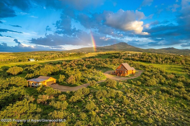 1349 Eagle Loop, Craig, CO 81625 - view of subject property with a mountain backdrop