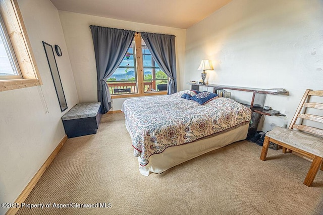 1349 Eagle Loop, Craig, CO 81625 - carpeted bedroom with baseboards