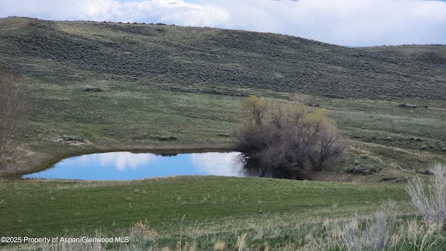3294 County Road 103, Craig, CO 81625 - view of details