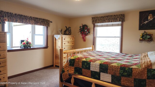 3294 County Road 103, Craig, CO 81625 - carpeted bedroom with baseboards