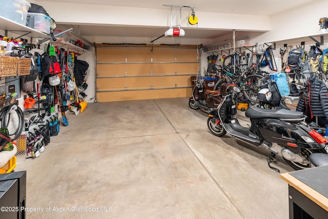 garage featuring a garage door opener