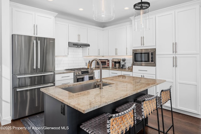 kitchen featuring under cabinet range hood, tasteful backsplash, dark wood-style floors, white cabinetry, and stainless steel appliances