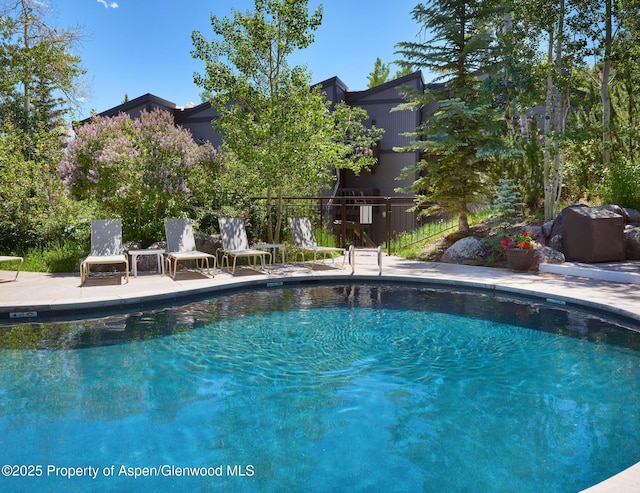 view of pool with a patio