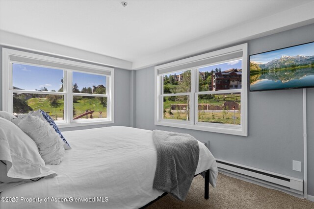1855 Ski Time Square Dr Unit 308, Steamboat, CO 80487 - photo 19
