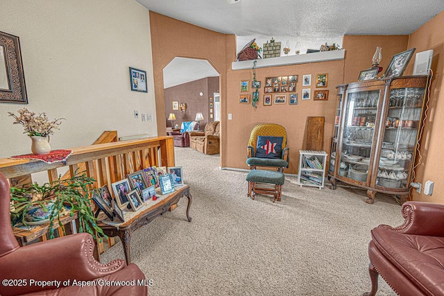 1097 Kowach Dr, Craig, CO 81625 - carpeted living area with arched walkways