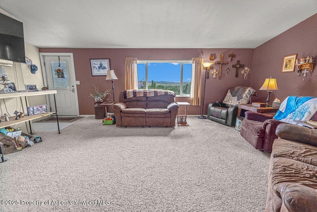 1097 Kowach Dr, Craig, CO 81625 - view of carpeted living room