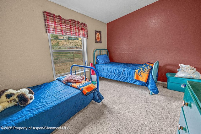 1097 Kowach Dr, Craig, CO 81625 - carpeted bedroom featuring a textured wall