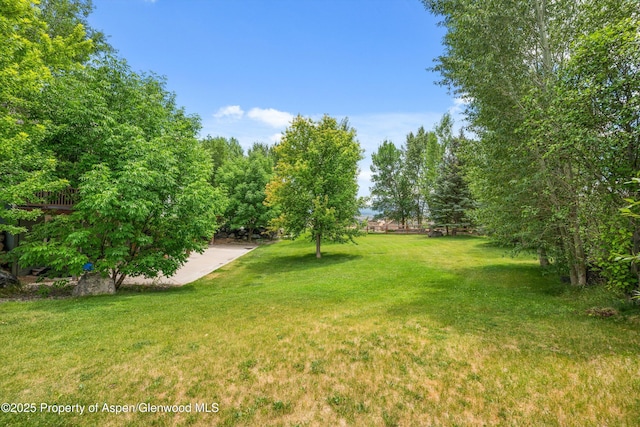 227 N Meadow Dr, Rifle, CO 81650 - photo 51