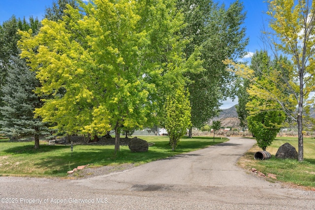 227 N Meadow Dr, Rifle, CO 81650 - photo 52