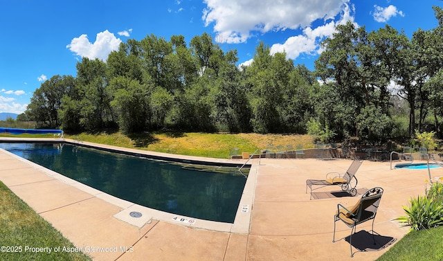 220 Sam Grange Ct, Carbondale, CO 81623 - photo 32