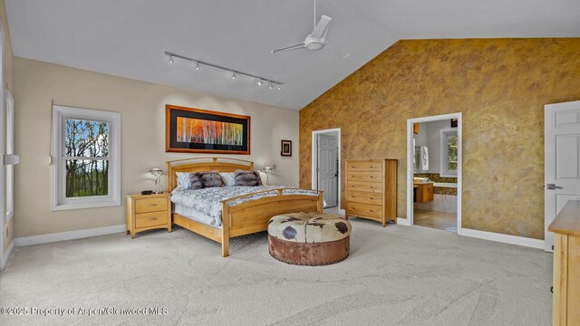 220 Sam Grange Ct, Eljebel, CO 81623 - carpeted bedroom featuring lofted ceiling, rail lighting, baseboards, and connected bathroom