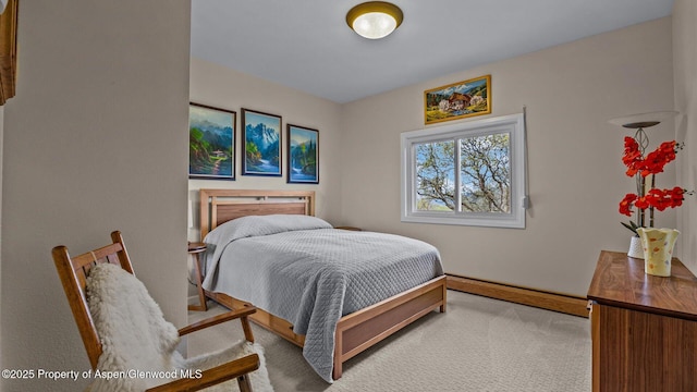 220 Sam Grange Ct, Eljebel, CO 81623 - bedroom featuring a baseboard radiator, carpet flooring, and baseboards