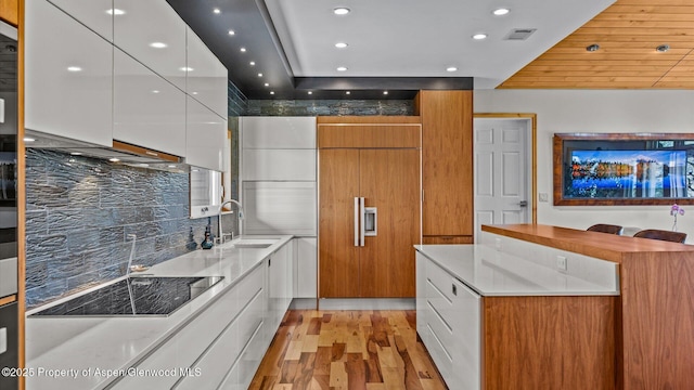 220 Sam Grange Ct, Eljebel, CO 81623 - kitchen featuring modern cabinets, a sink, light wood-type flooring, backsplash, and recessed lighting