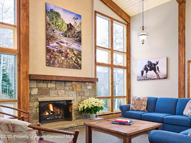855 Carriage Way Unit 103, Snowmass Village, CO 81615 - photo 25