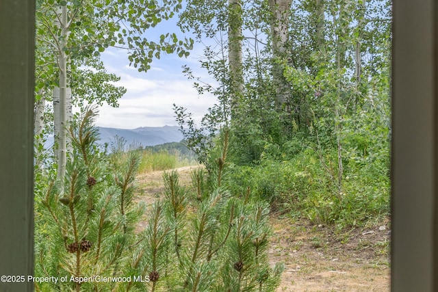 855 Carriage Way Unit 103, Snowmass Village, CO 81615 - photo 21