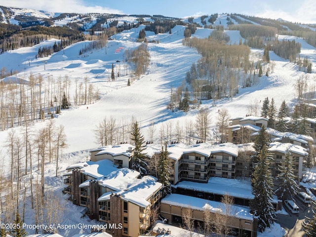 855 Carriage Way Unit 103, Snowmass Village, CO 81615 - photo 4