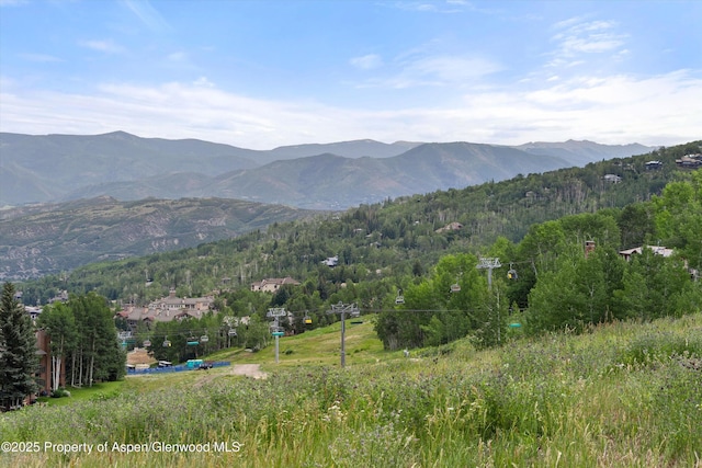855 Carriage Way Unit 103, Snowmass Village, CO 81615 - photo 10