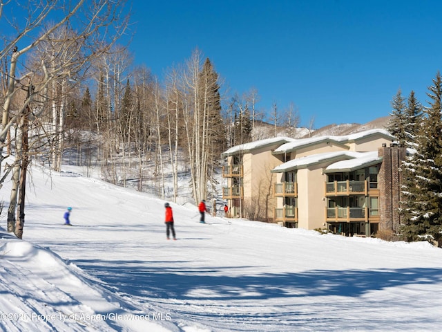 855 Carriage Way Unit 103, Snowmass Village, CO 81615 - photo 23