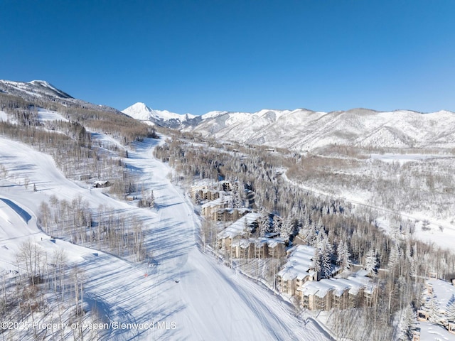 855 Carriage Way Unit 103, Snowmass Village, CO 81615 - photo 26