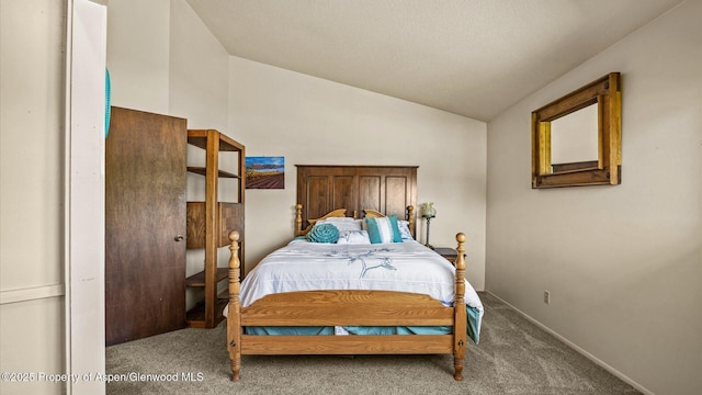 541 20 1/2 Rd, Grand Junction, CO 81507 - bedroom with carpet flooring and lofted ceiling