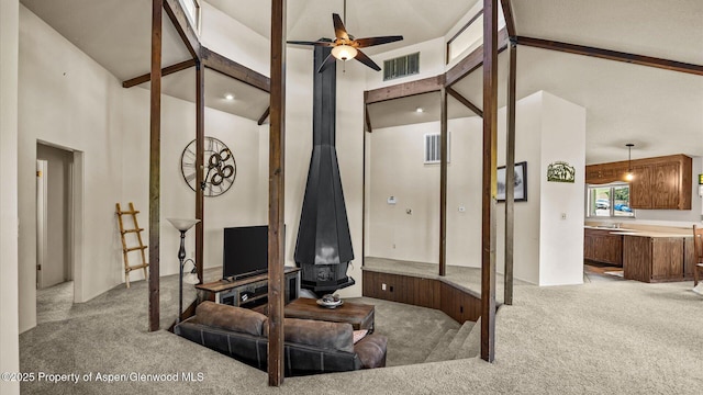 541 20 1/2 Rd, Grand Junction, CO 81507 - carpeted living area with a ceiling fan, high vaulted ceiling, and a wood stove