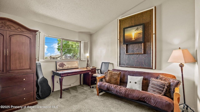 541 20 1/2 Rd, Grand Junction, CO 81507 - office area featuring light carpet, lofted ceiling, and a textured ceiling