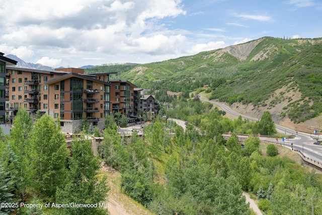 130 Wood Rd Unit 706, Snowmass Village, CO 81615 - photo 11
