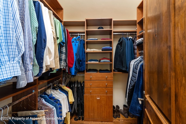 view of walk in closet