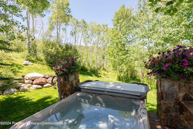 view of yard featuring a hot tub