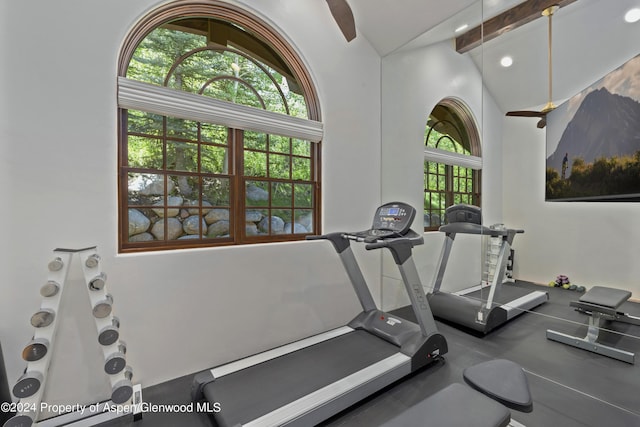 workout area featuring a healthy amount of sunlight and vaulted ceiling