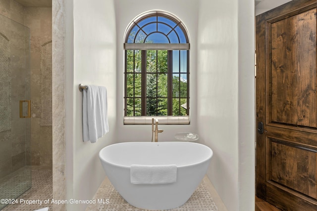 bathroom featuring a healthy amount of sunlight and plus walk in shower