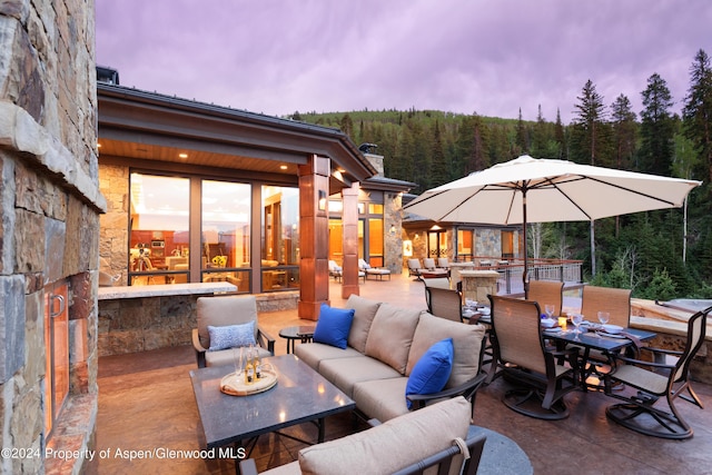 750 S Starwood Rd, Aspen, CO 81611 - photo 43